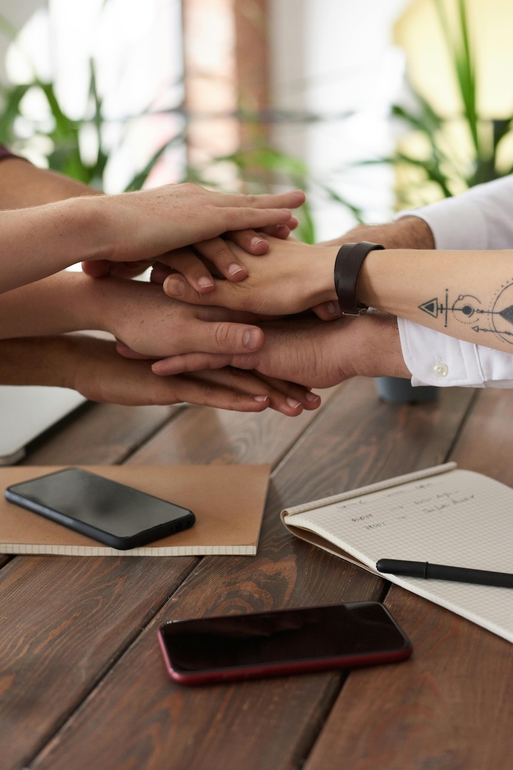 Entwicklung - Alles aus einer Hand